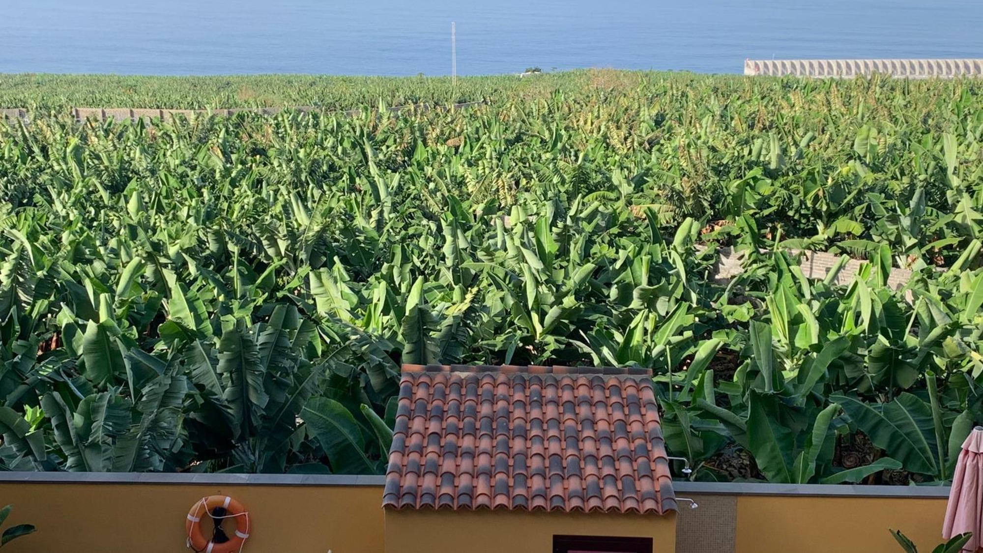 Apartamento Los Guirres Tazacorte Kültér fotó